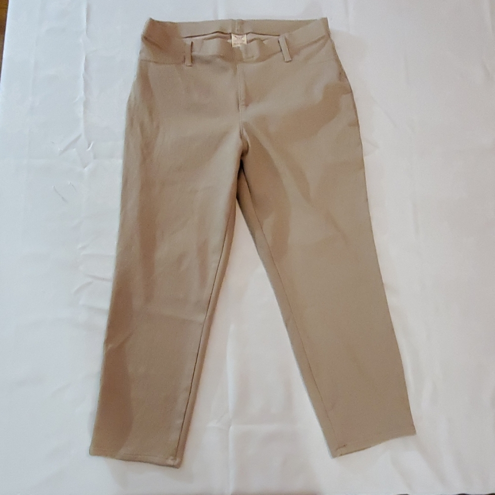 Faded glory 12/14 stretchie ankle pants
